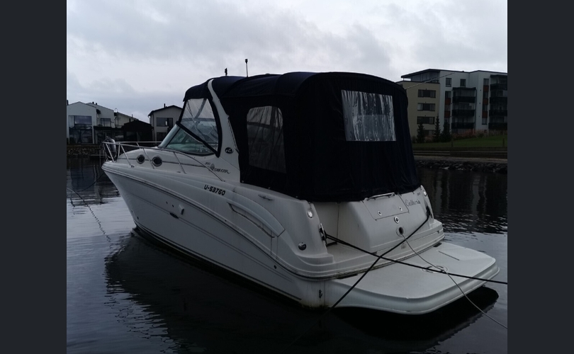 Sea Ray 335-kuva-1